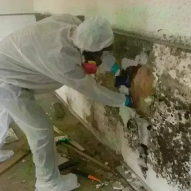 Mold Remediation and Removal in Topsfield, MA